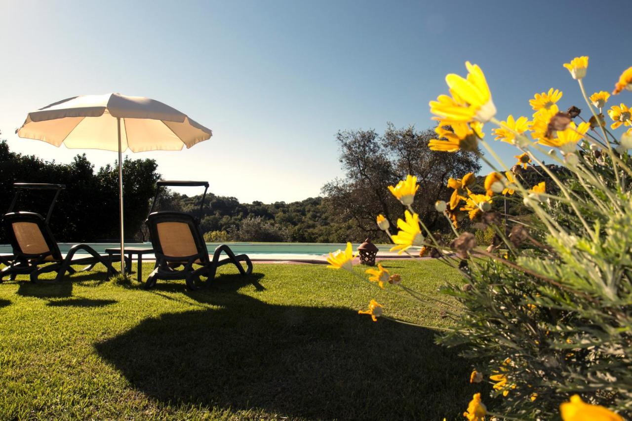 Poggio Sasseta Villa Montiano  Exterior foto
